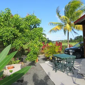 Des Palétuviers Morne-a-l'Eau