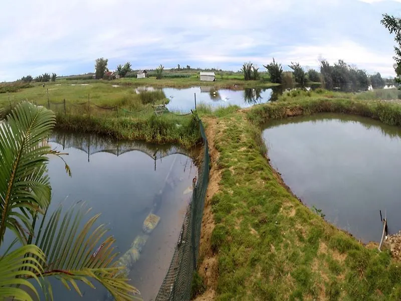 Windy River Homestay Hoi An